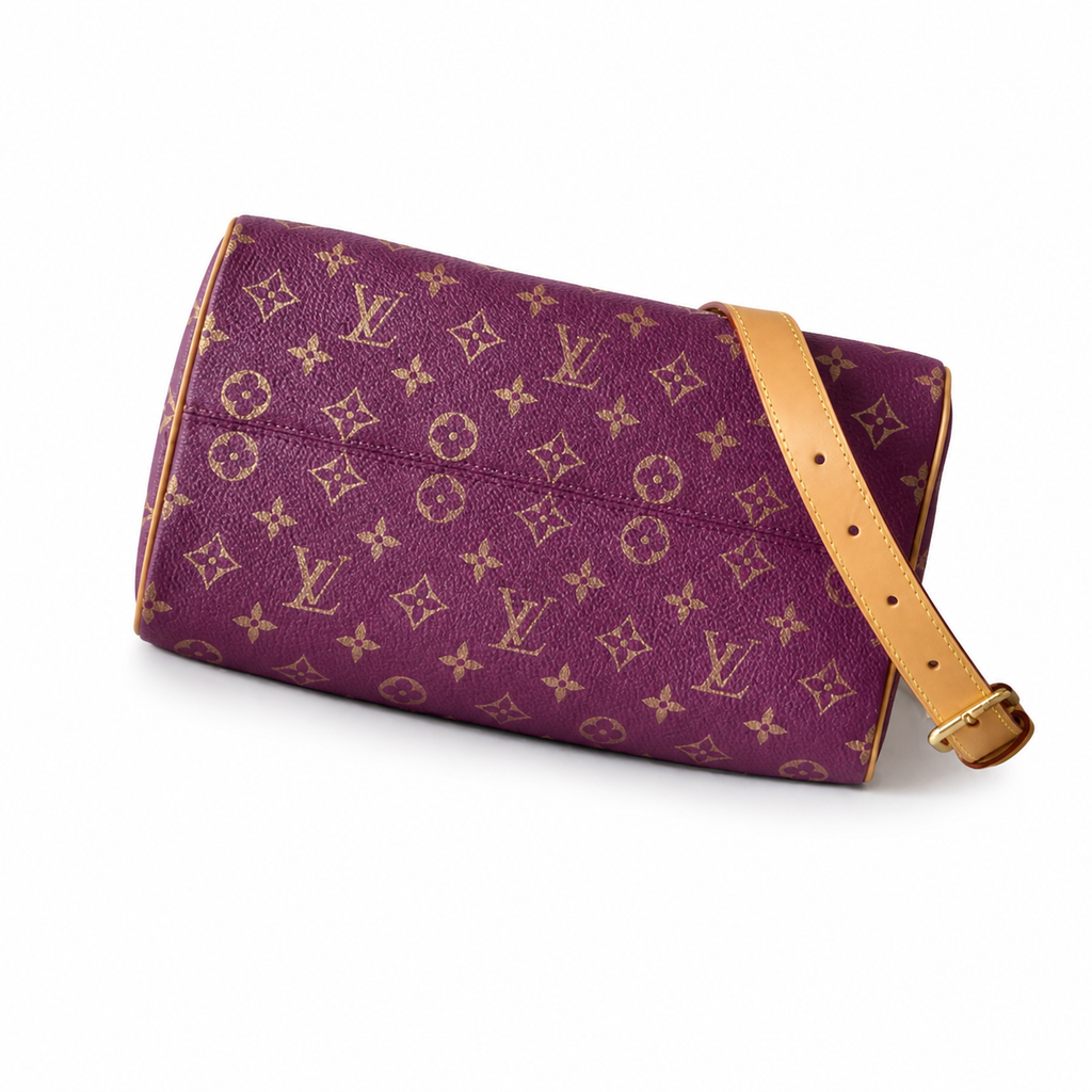 Louis Vuitton Monogram Weekend Bag