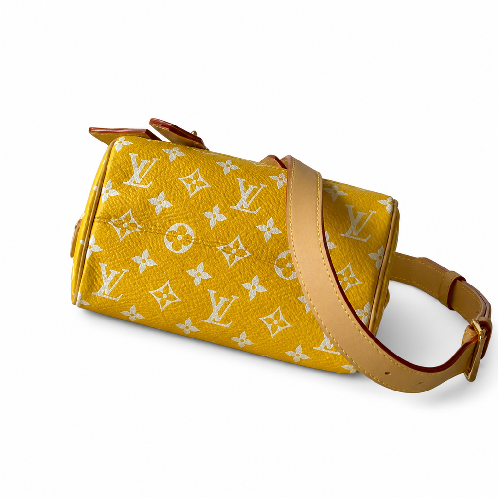 Louis Vuitton Monogram Noir Structured Bucket Crossbody Bag
