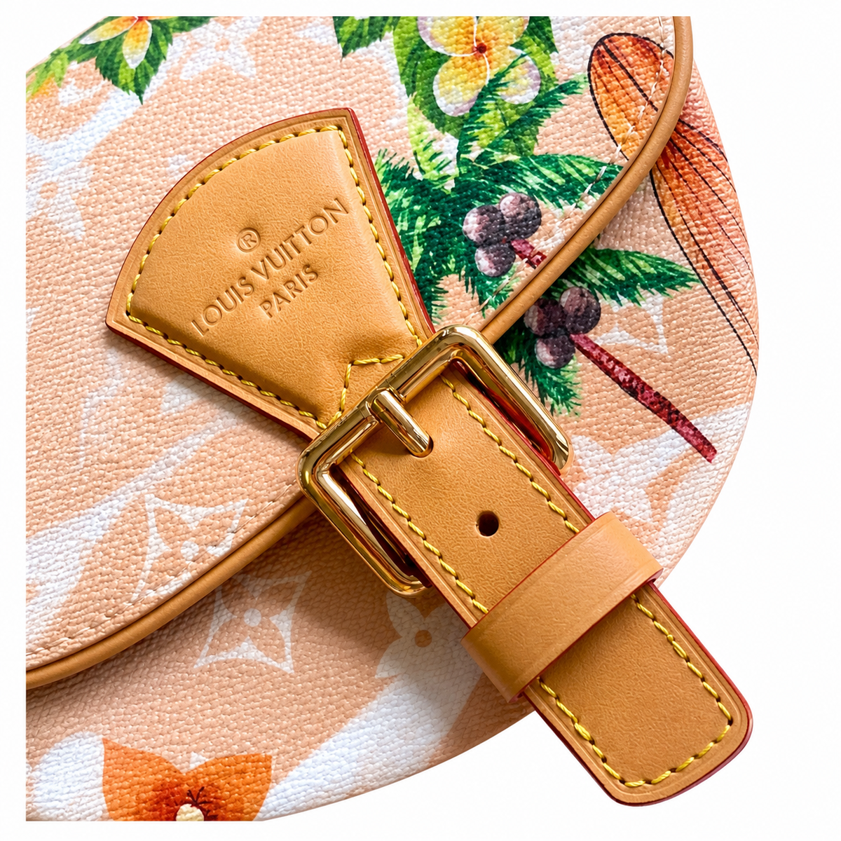 Louis Vuitton Monogram Everyday Mini Crossbody
