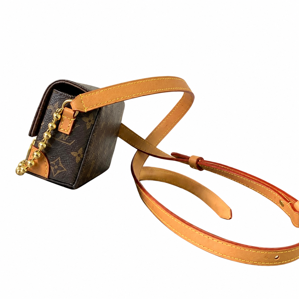 Louis Vuitton Monogram Pochette Accessoires