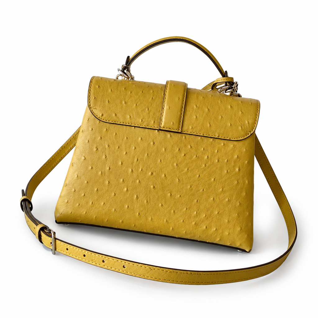 Louis Vuitton Monogram Prestige Flap Crossbody