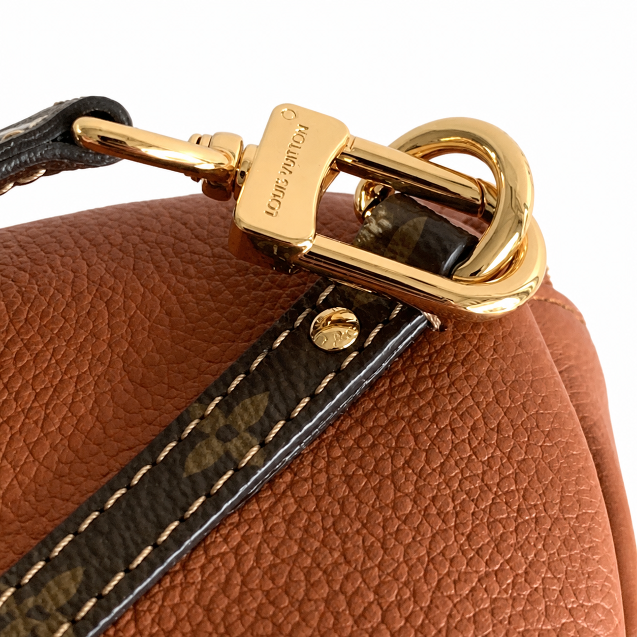 Louis Vuitton Monogram Bucket Bag