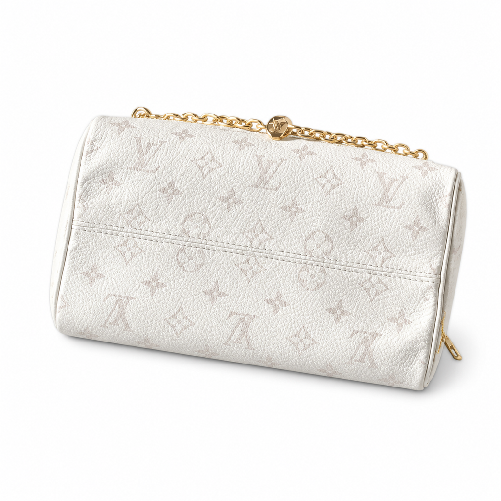 Louis Vuitton Monogram Vertical Lock Crossbody