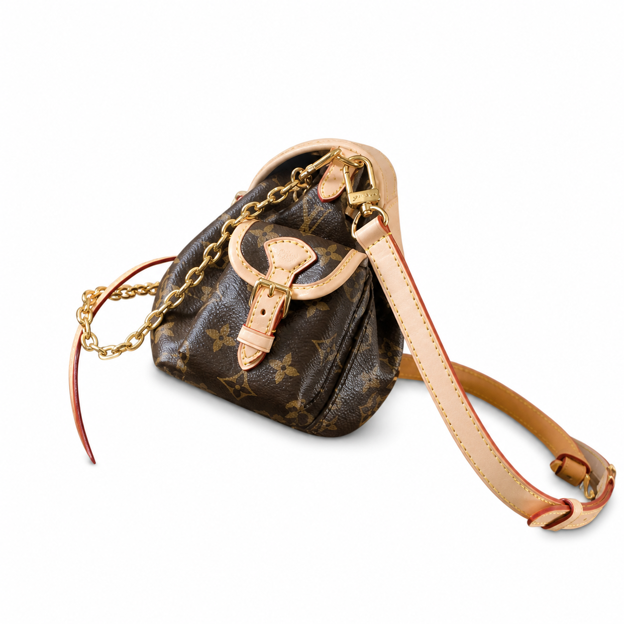 Louis Vuitton Monogram Upright Day Bag