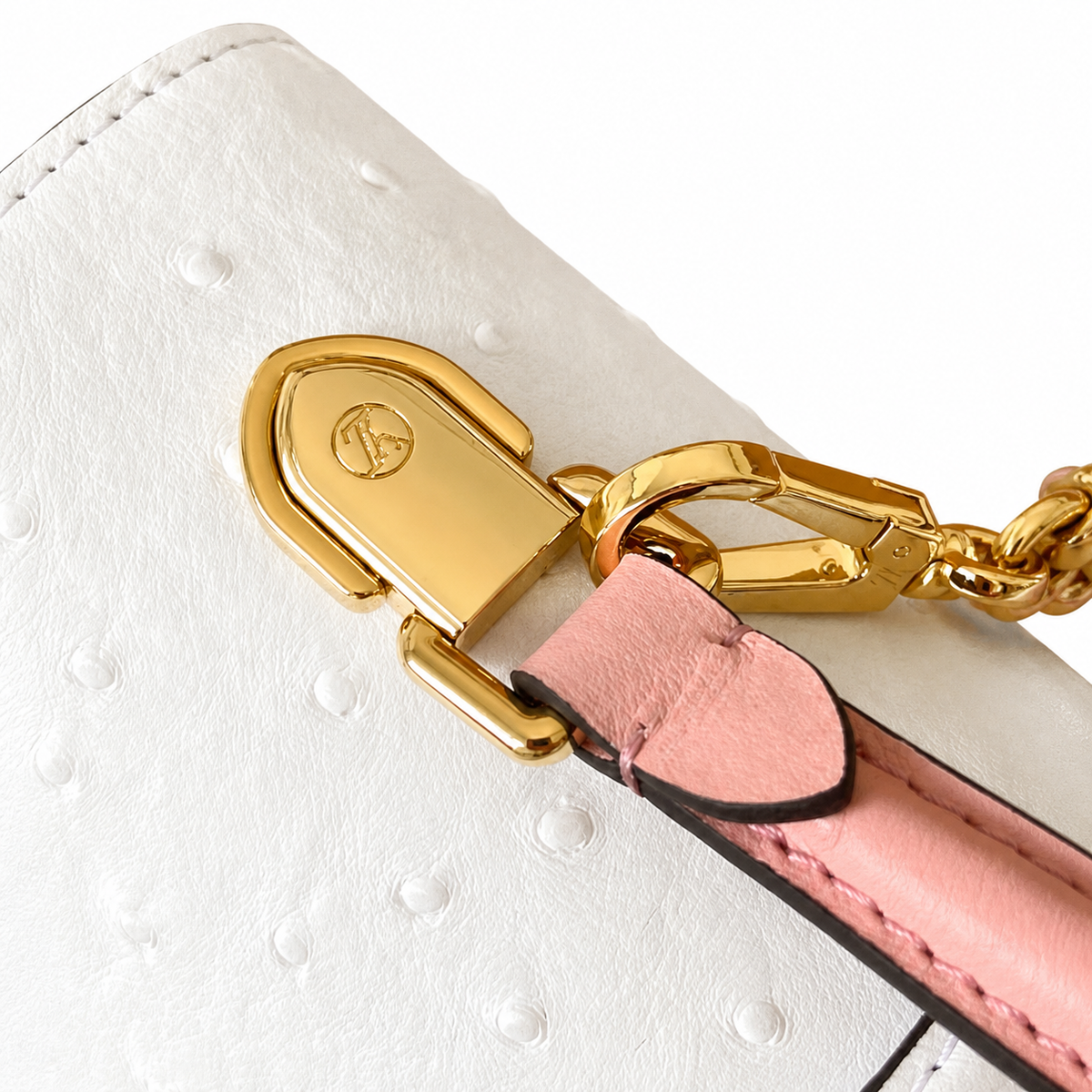 Louis Vuitton Monogram Signature Lock Flap Bag