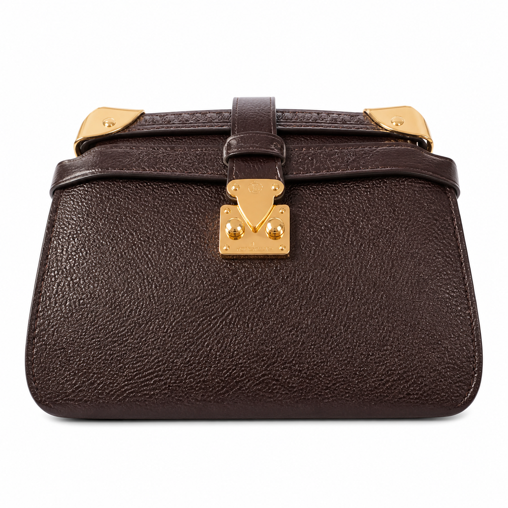 Louis Vuitton Mini Flap Crossbody — Chocolat Moka Grained Leather, Gold V-Lock, Flap Strap & Corner Guards