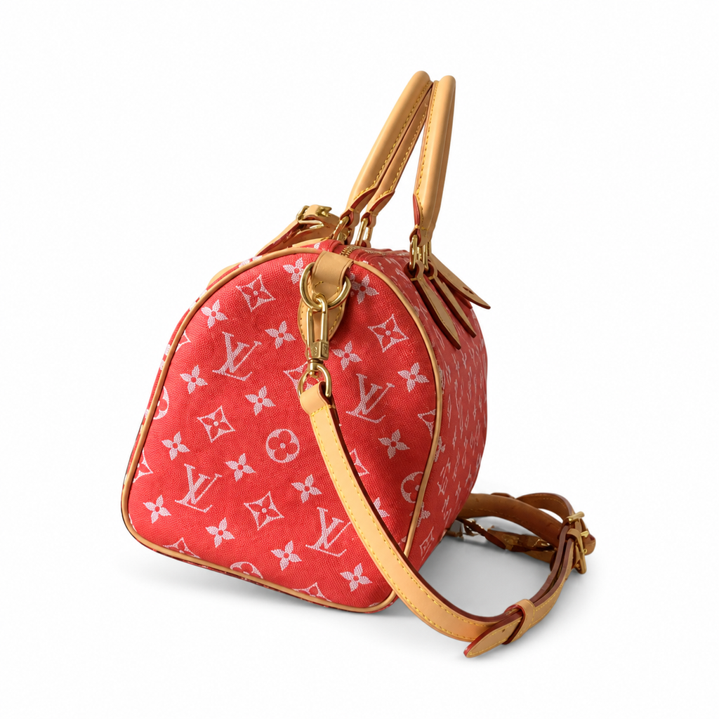 Louis Vuitton Monogram Tall Crossbody Bag — Heritage Edition