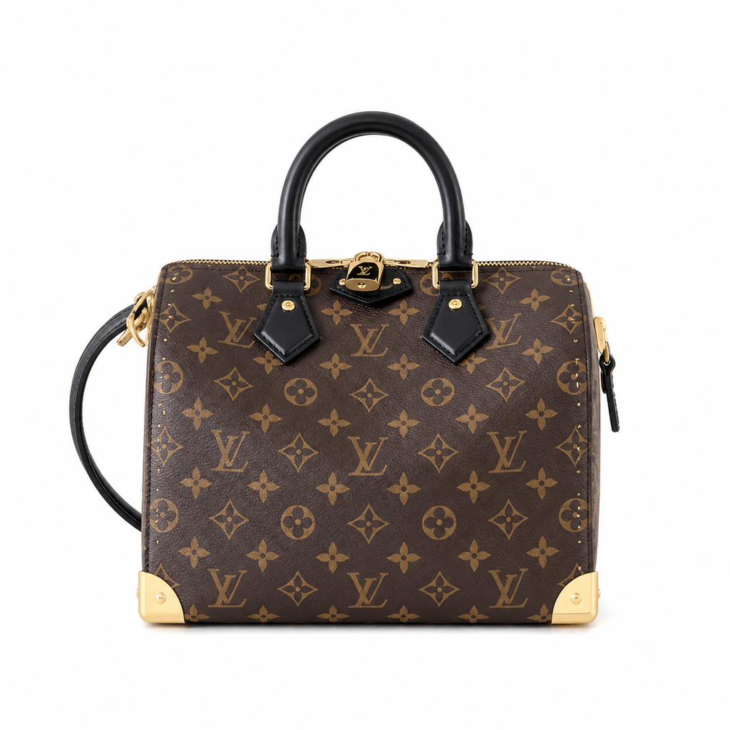 Louis Vuitton Monogram Classic Day Bag