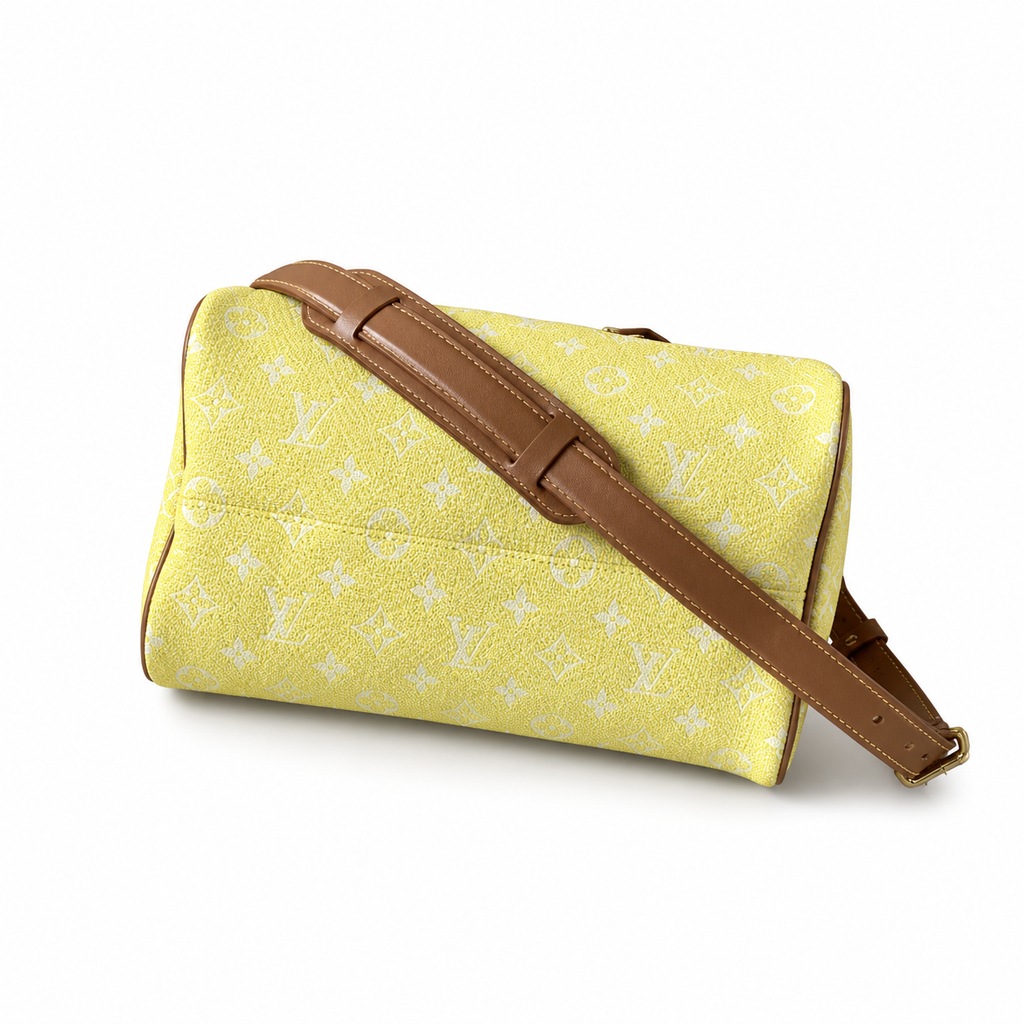 Louis Vuitton Monogram Tall Crossbody Bag — Day to Evening