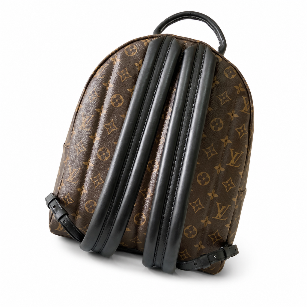 Louis Vuitton Palm Springs MM Backpack — Monogram Canvas