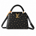 Louis Vuitton Monogram Prestige Crossbody Bag