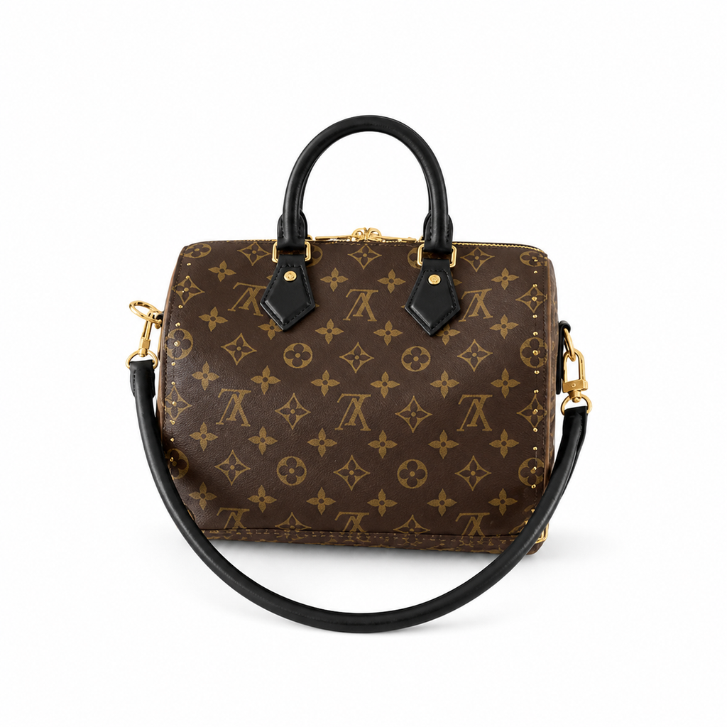 Louis Vuitton Monogram Classic Day Bag