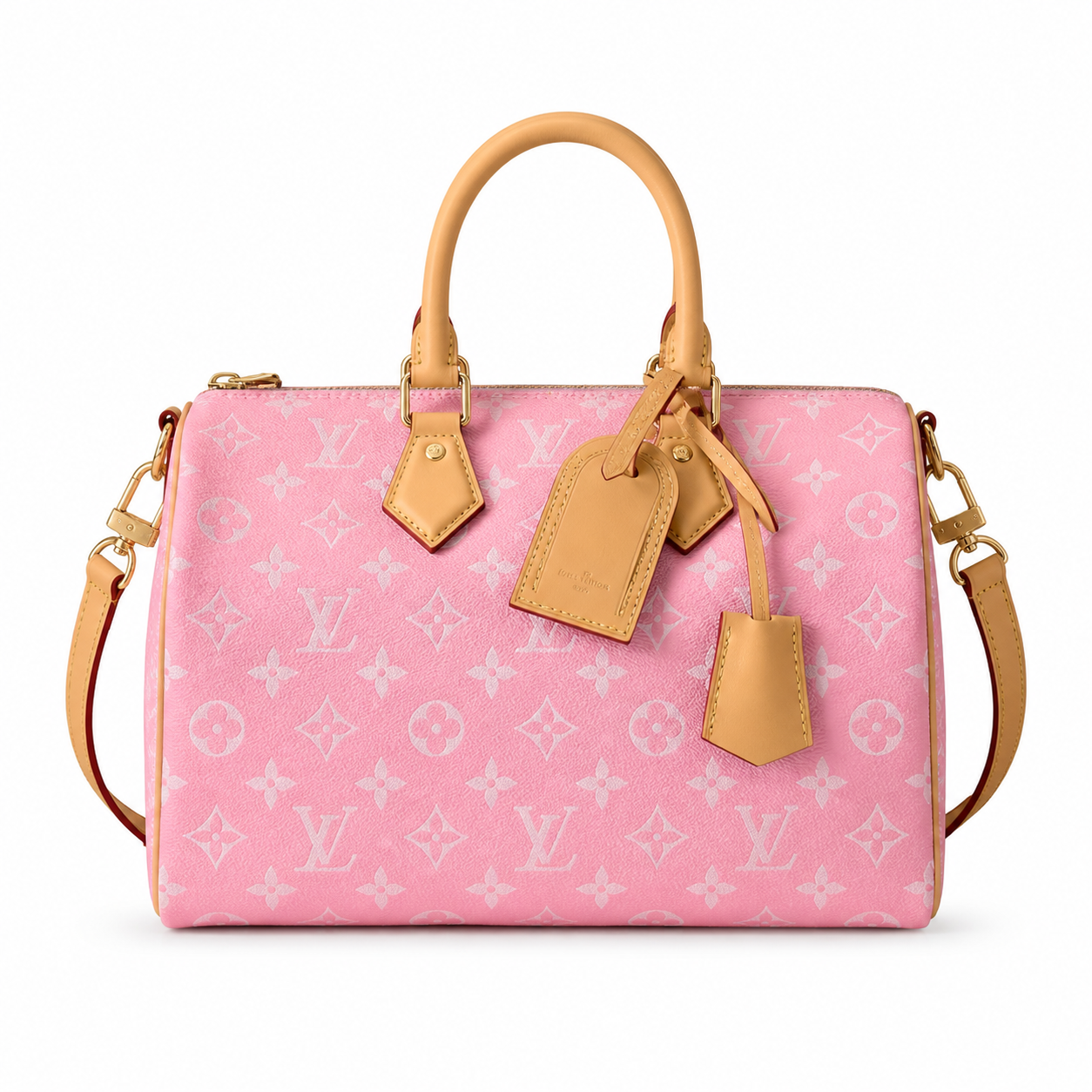 Louis Vuitton Monogram Tall Structured Crossbody Bag