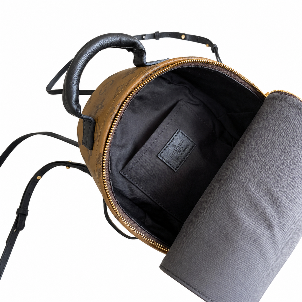 Louis Vuitton Palm Springs Mini Backpack — Monogram Reverse Canvas