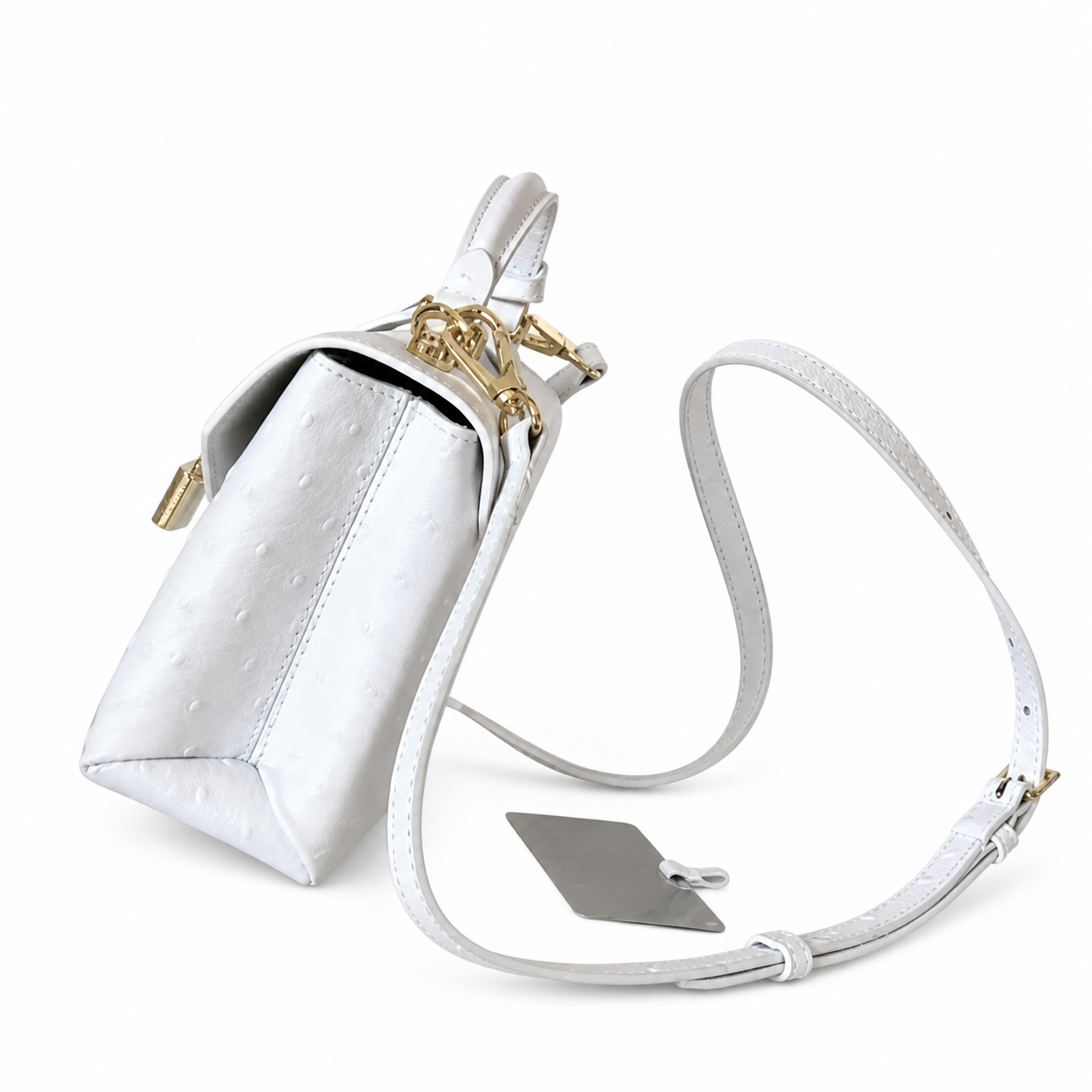 Louis Vuitton Monogram Twist Lock Mini Bag