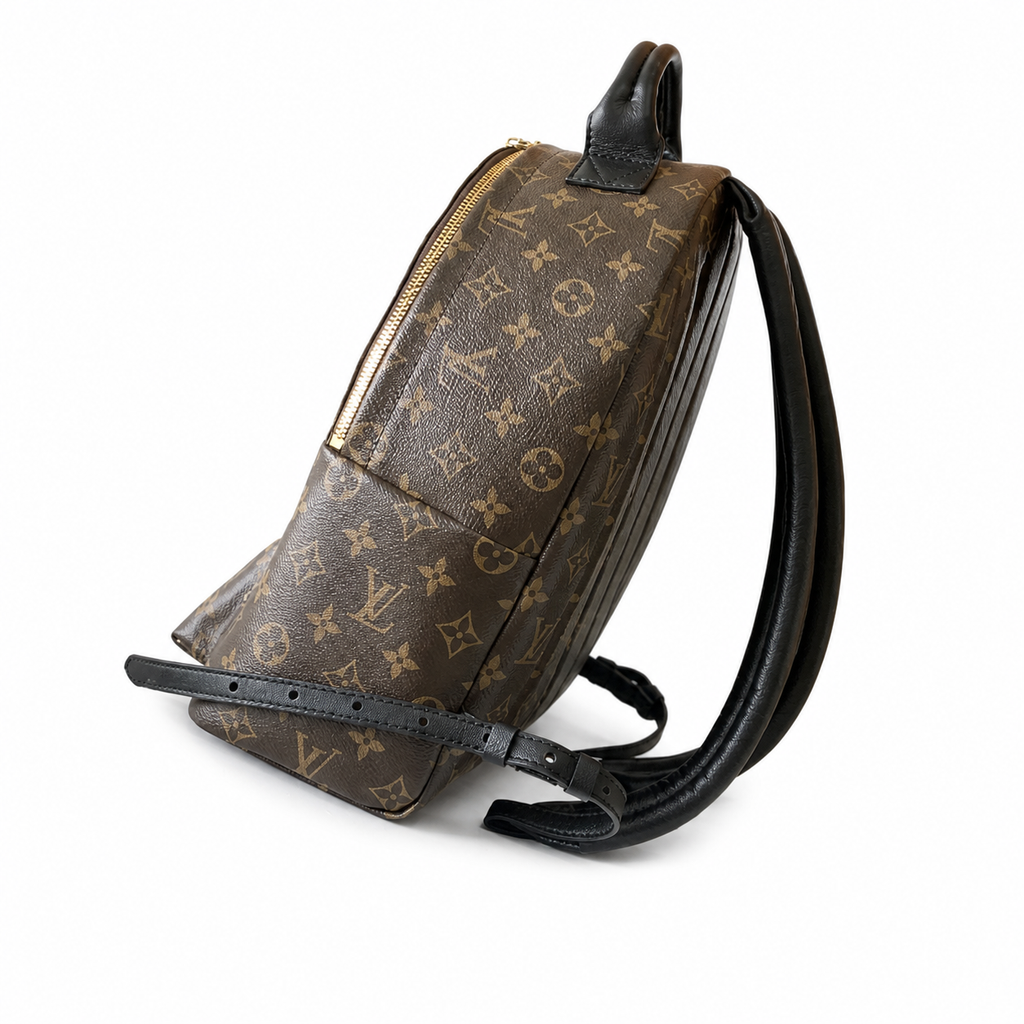 Louis Vuitton Palm Springs MM Backpack — Monogram Canvas