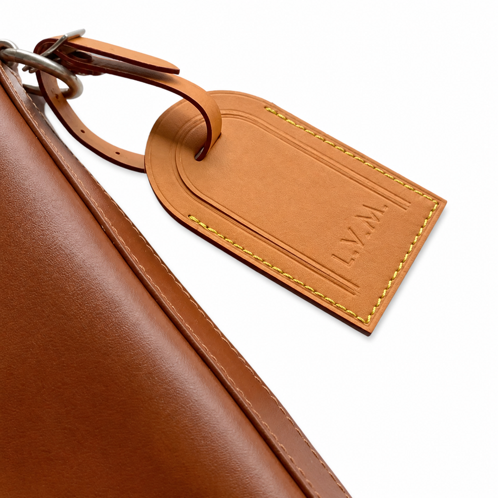 Louis Vuitton Monogram Panorama Tote Backpack