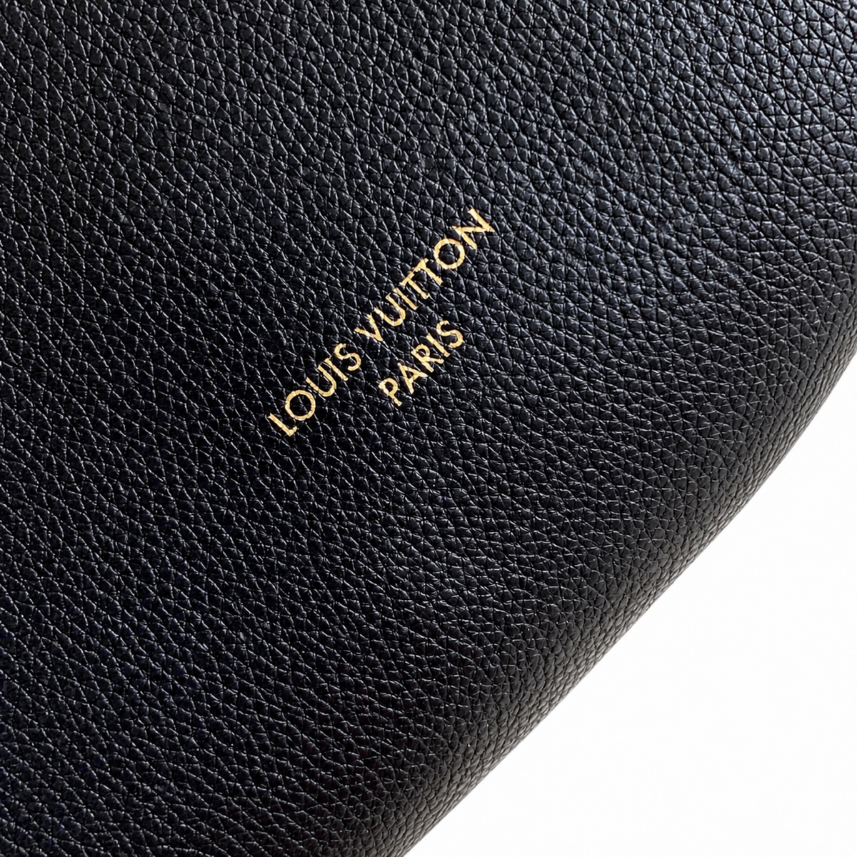 LV Monogram Large Tote Bag | Oversized Everyday Commuter Bag