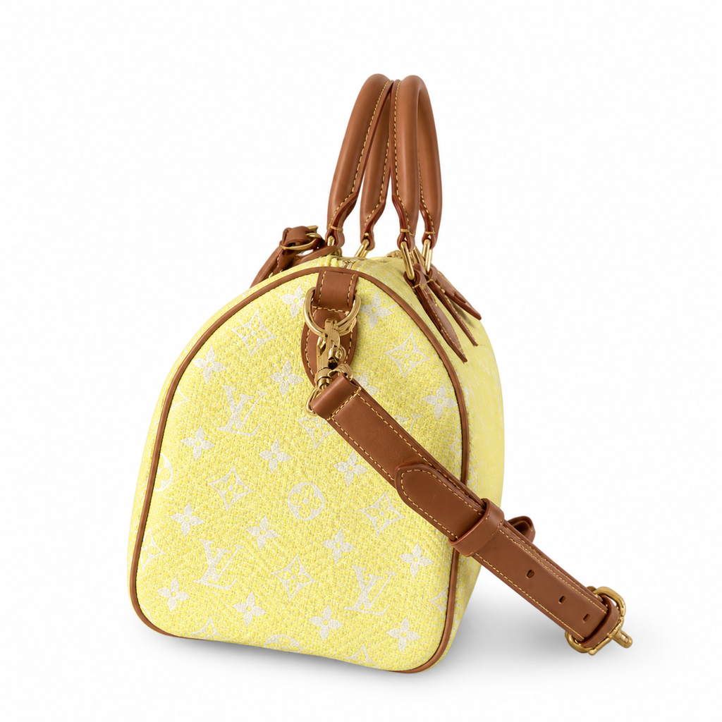 Louis Vuitton Monogram Tall Crossbody Bag — Day to Evening