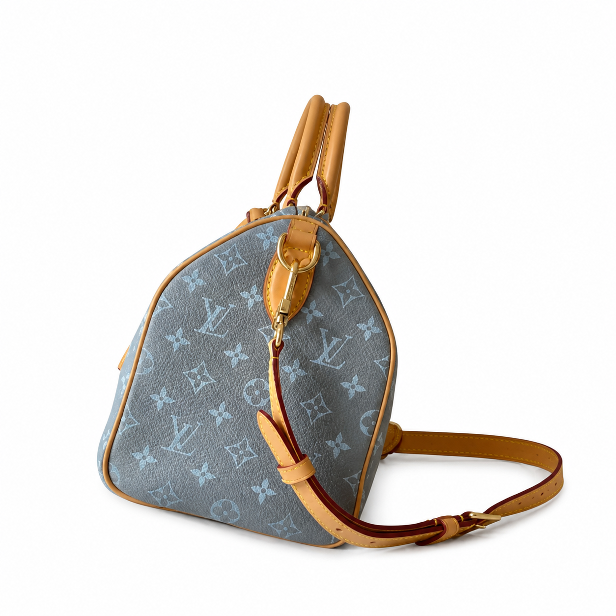 Louis Vuitton Monogram Structured Bag