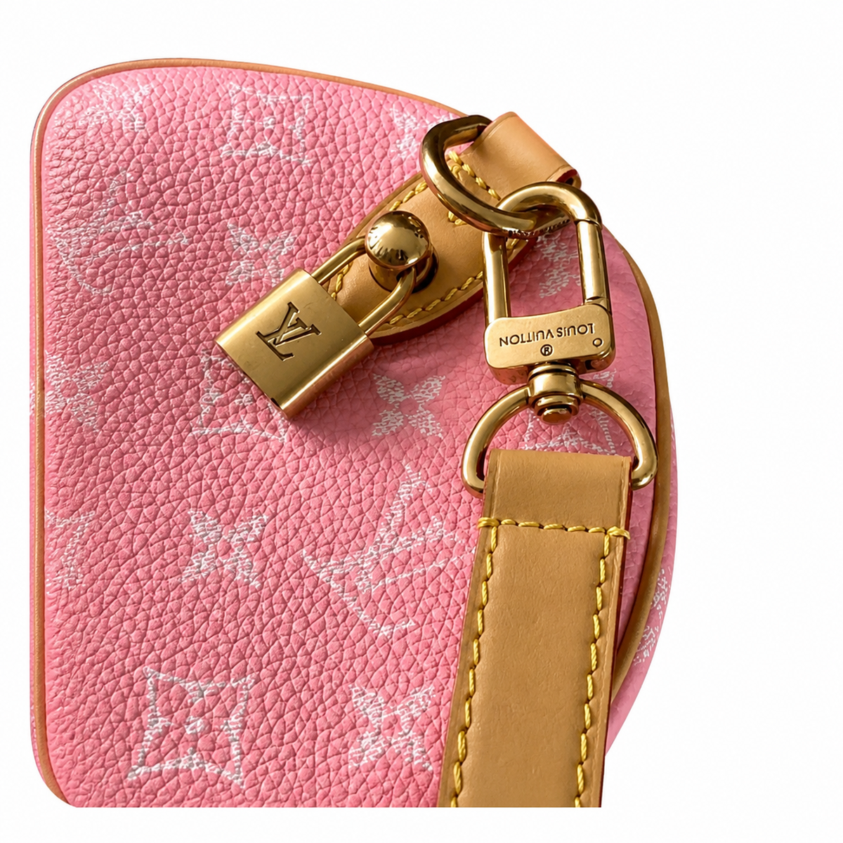 Louis Vuitton Monogram Tall Structured Crossbody Bag