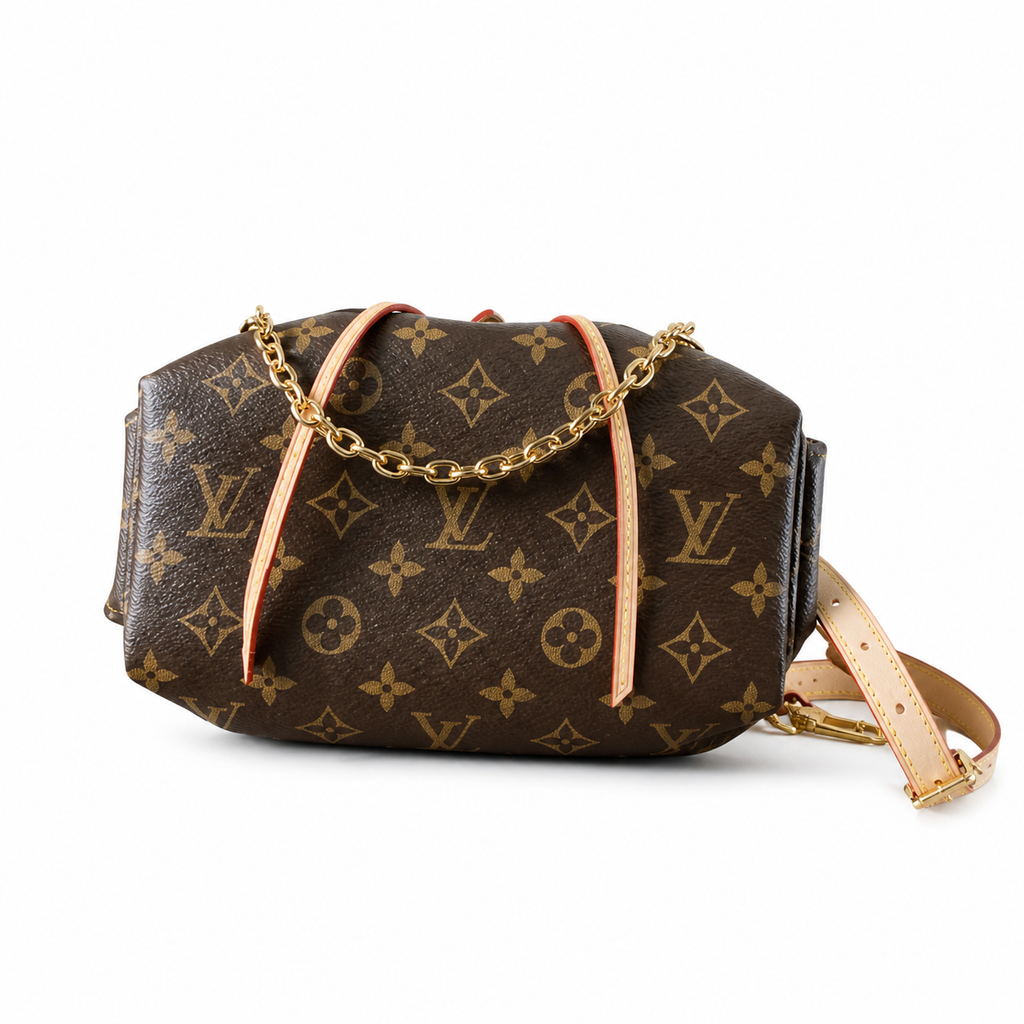 Louis Vuitton Monogram Upright Day Bag