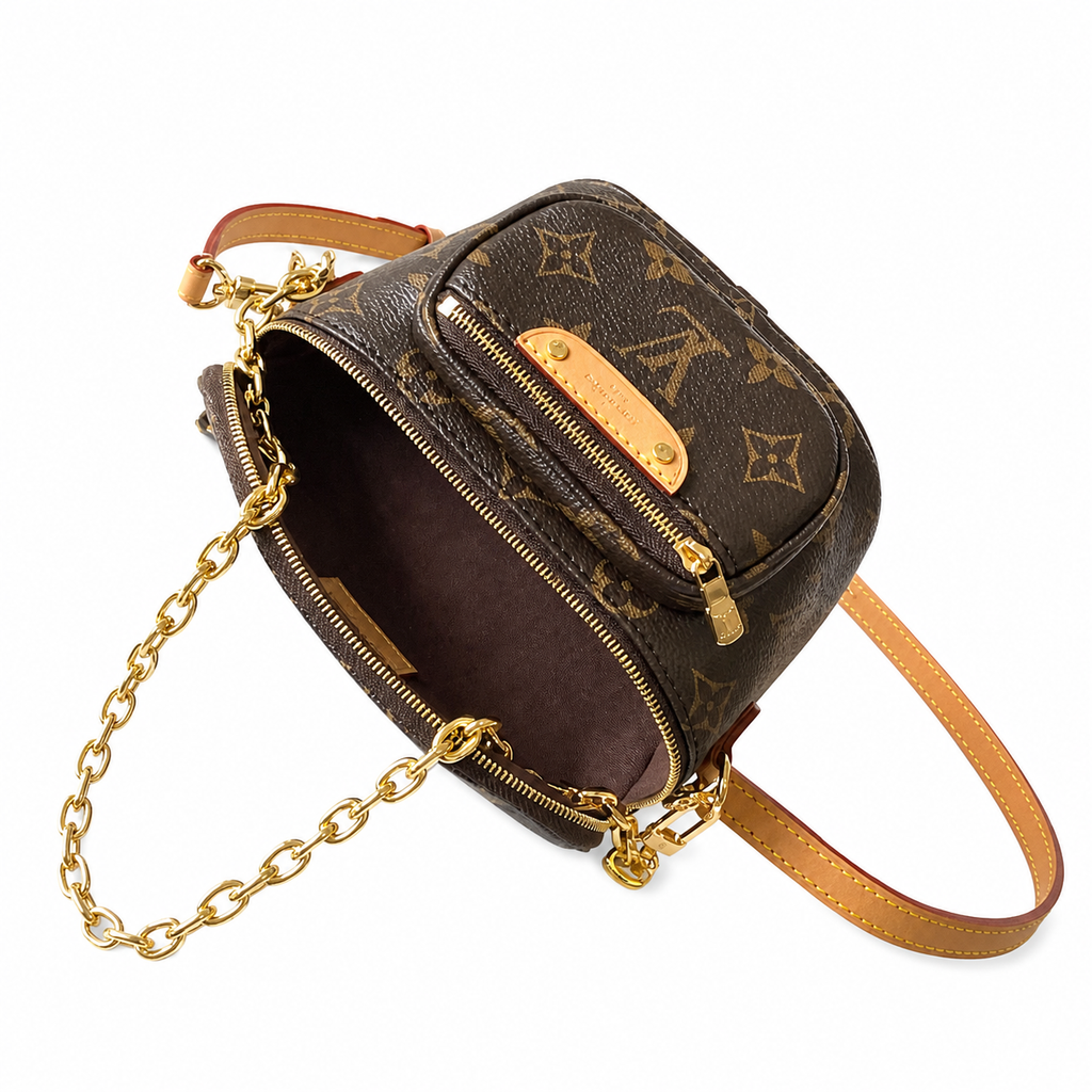 Louis Vuitton Félicie Pochette — Monogram Canvas & Vachetta