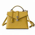 Louis Vuitton Monogram Prestige Flap Crossbody