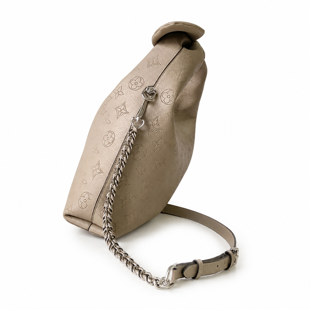 Louis Vuitton Signature Crossbody Bag