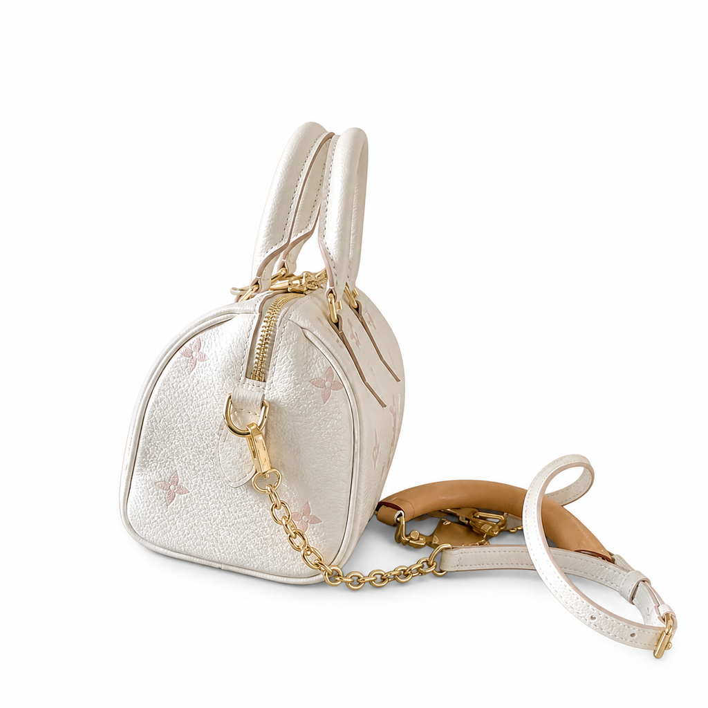 Louis Vuitton Monogram Nano Noé