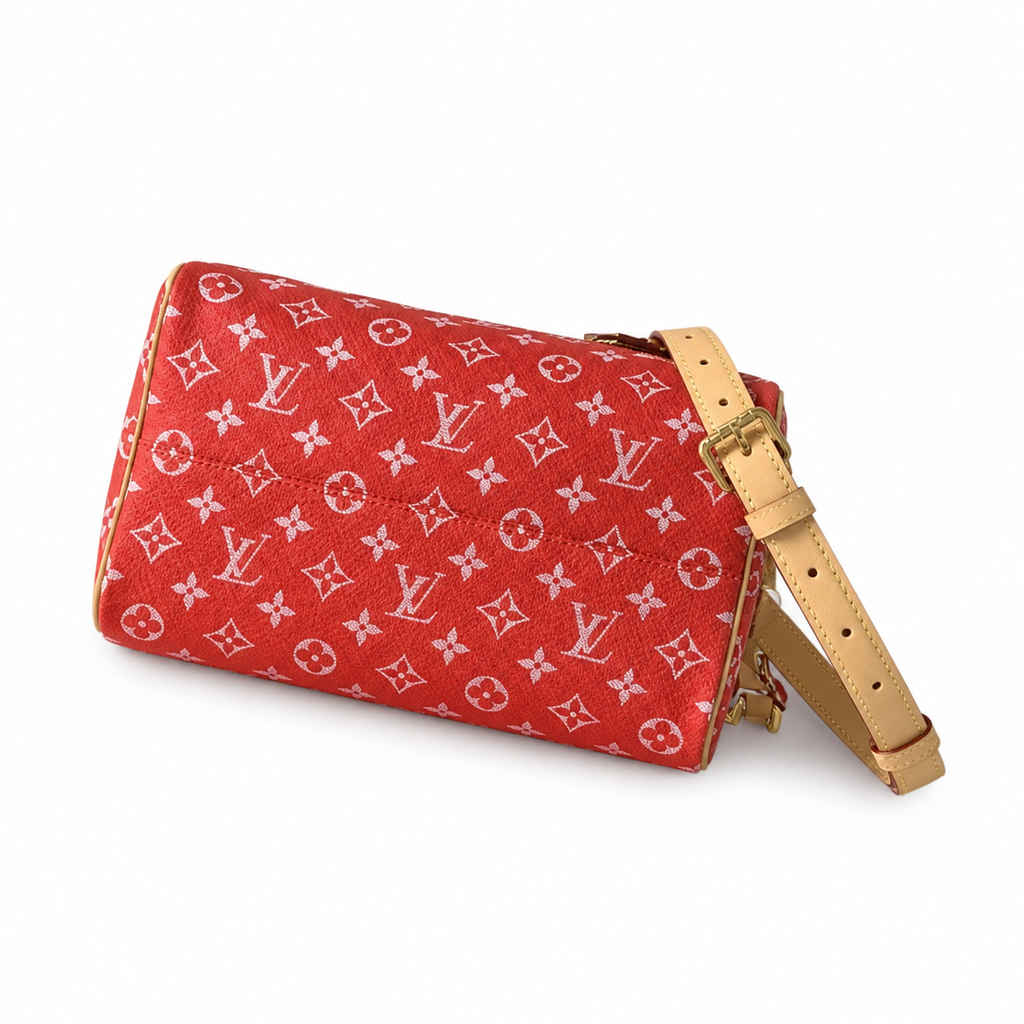 Louis Vuitton Monogram Tall Crossbody Bag — Heritage Edition