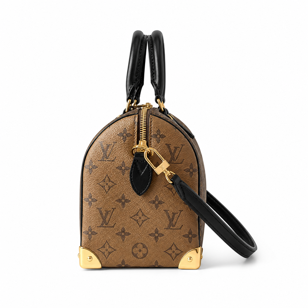 Louis Vuitton Monogram Classic Day Bag