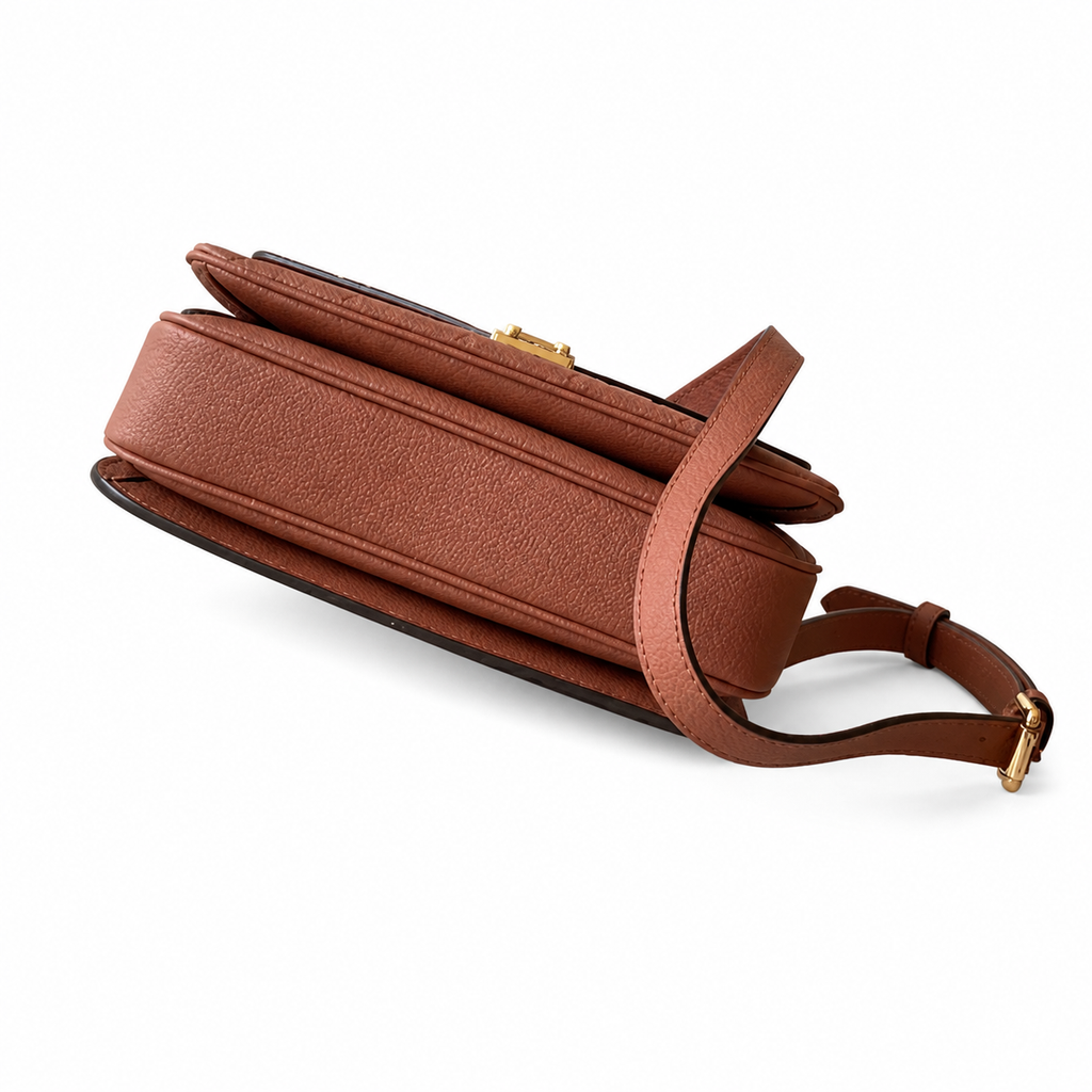 Louis Vuitton Monogram Signature Bag