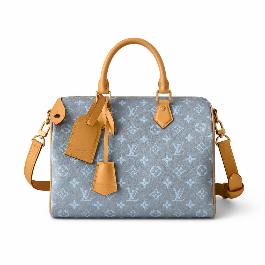 Louis Vuitton Monogram Structured Bag