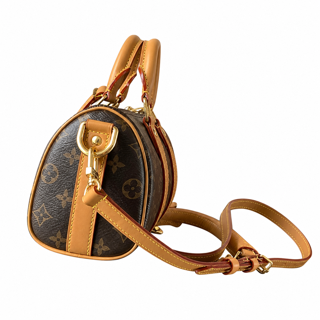 Louis Vuitton Monogram Triomphe Structured Crossbody Bag