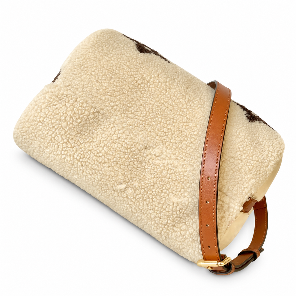 Louis Vuitton Monogram Square Frame Crossbody