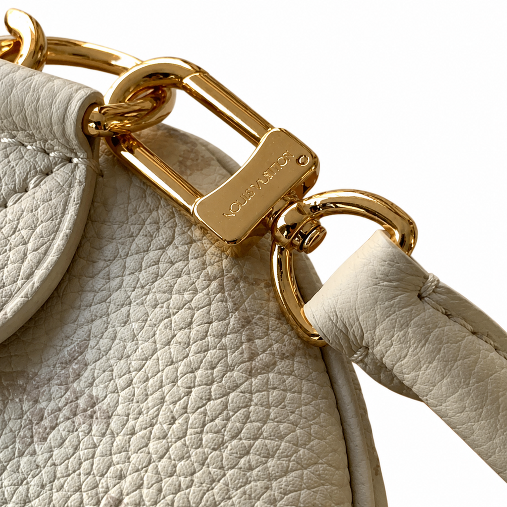 Louis Vuitton Monogram Vertical Lock Crossbody