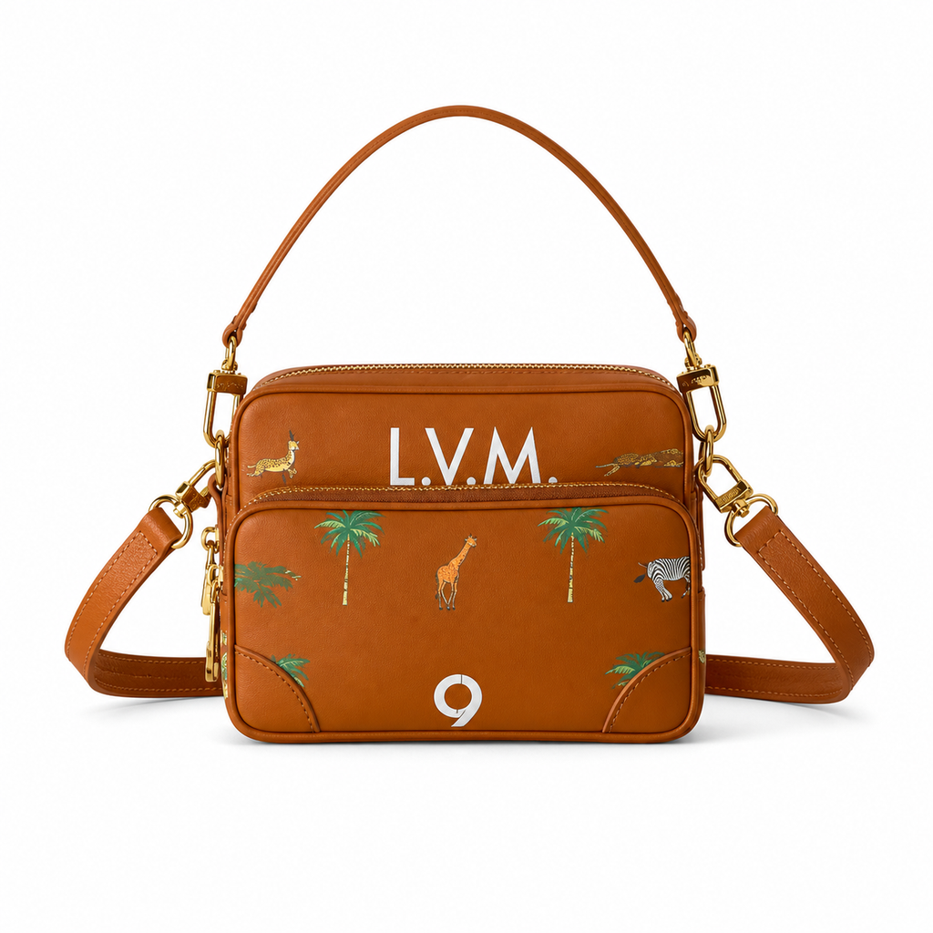 Louis Vuitton Monogram Day-to-Evening Crossbody Bag