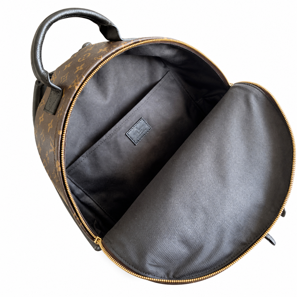 Louis Vuitton Palm Springs MM Backpack — Monogram Canvas