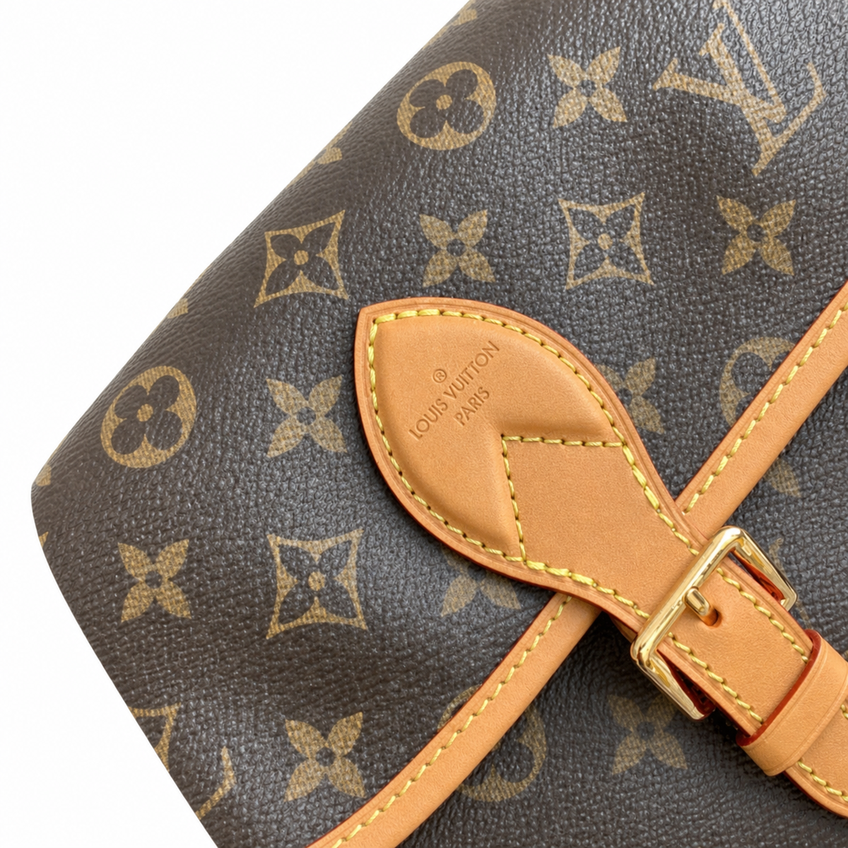 Louis Vuitton Diane Crossbody Bag — Monogram Canvas