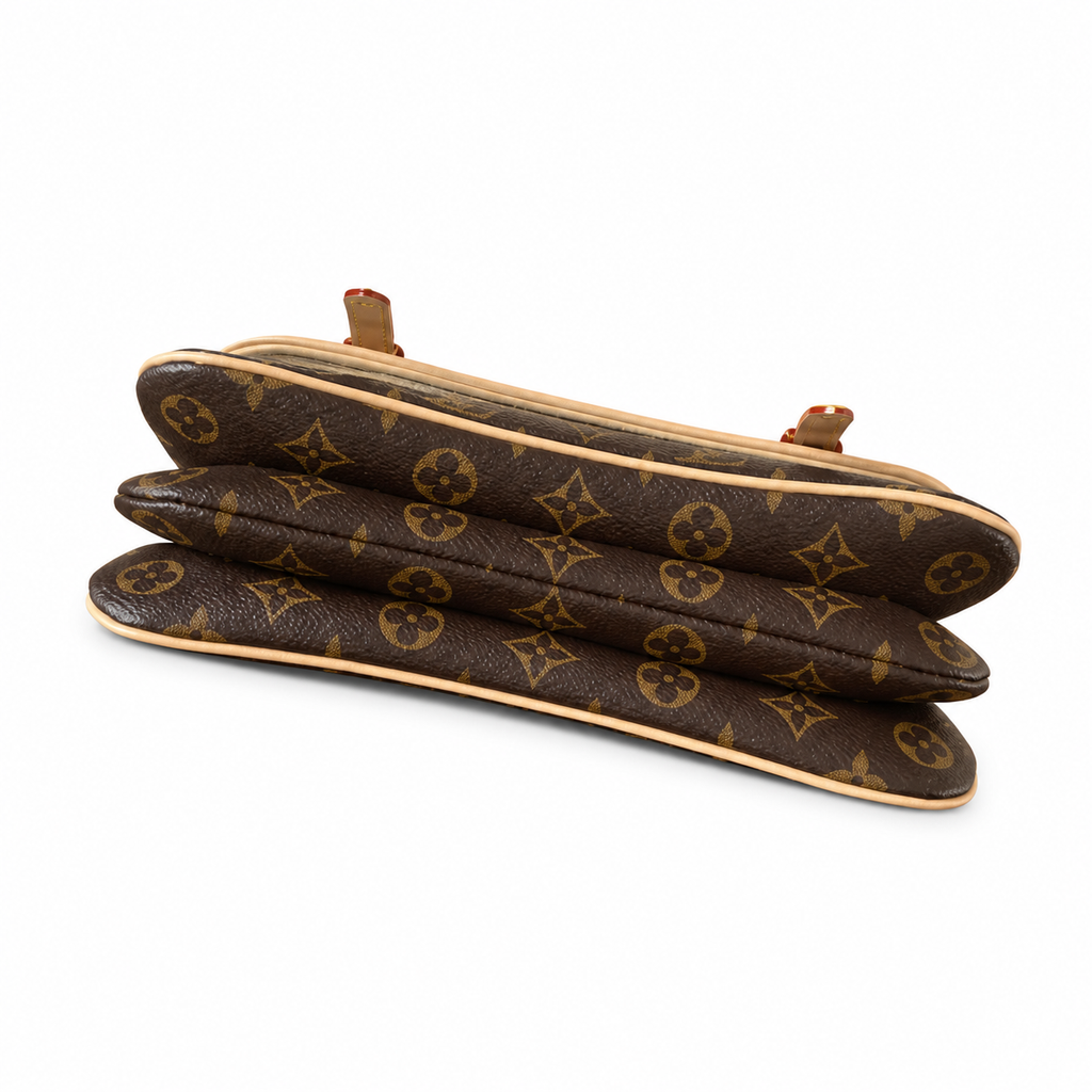 Louis Vuitton Félicie Strap & Go — Monogram Canvas