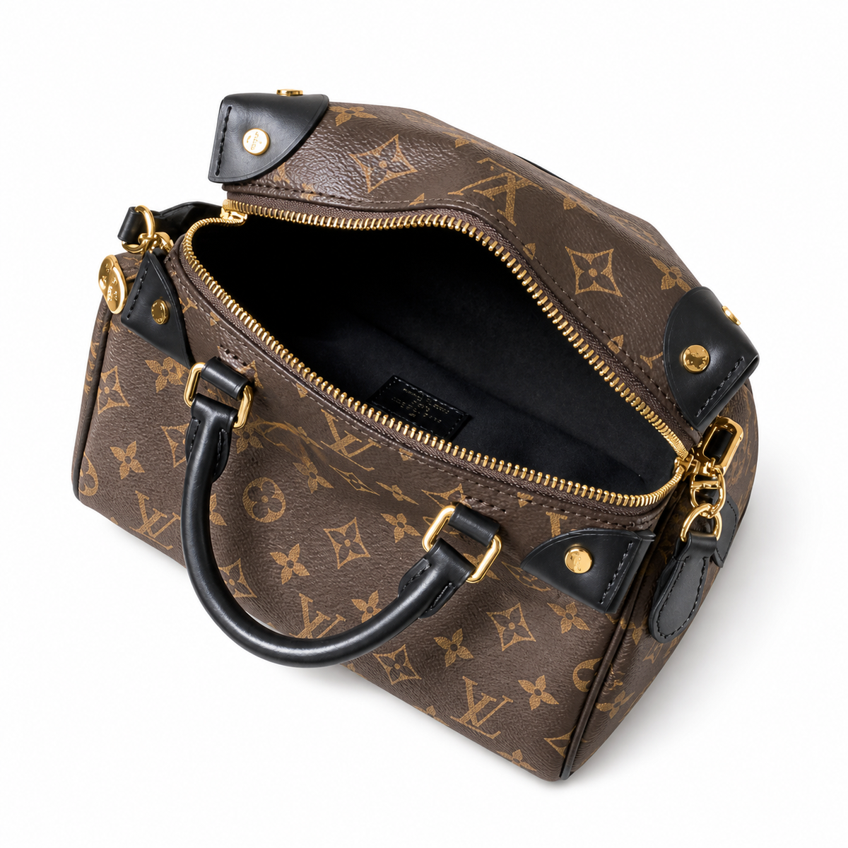 Louis Vuitton Monogram Twist Mini