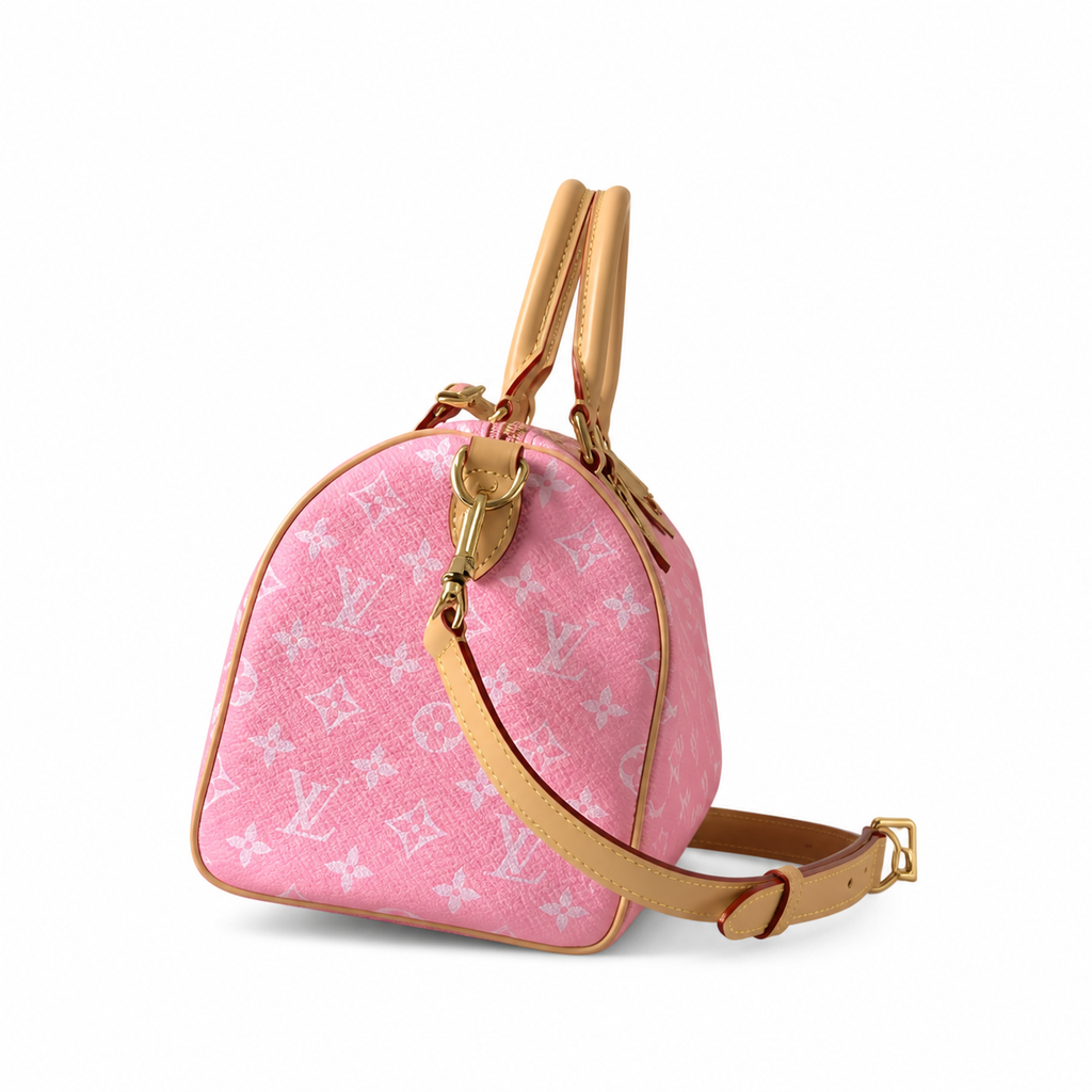 Louis Vuitton Monogram Tall Structured Crossbody Bag