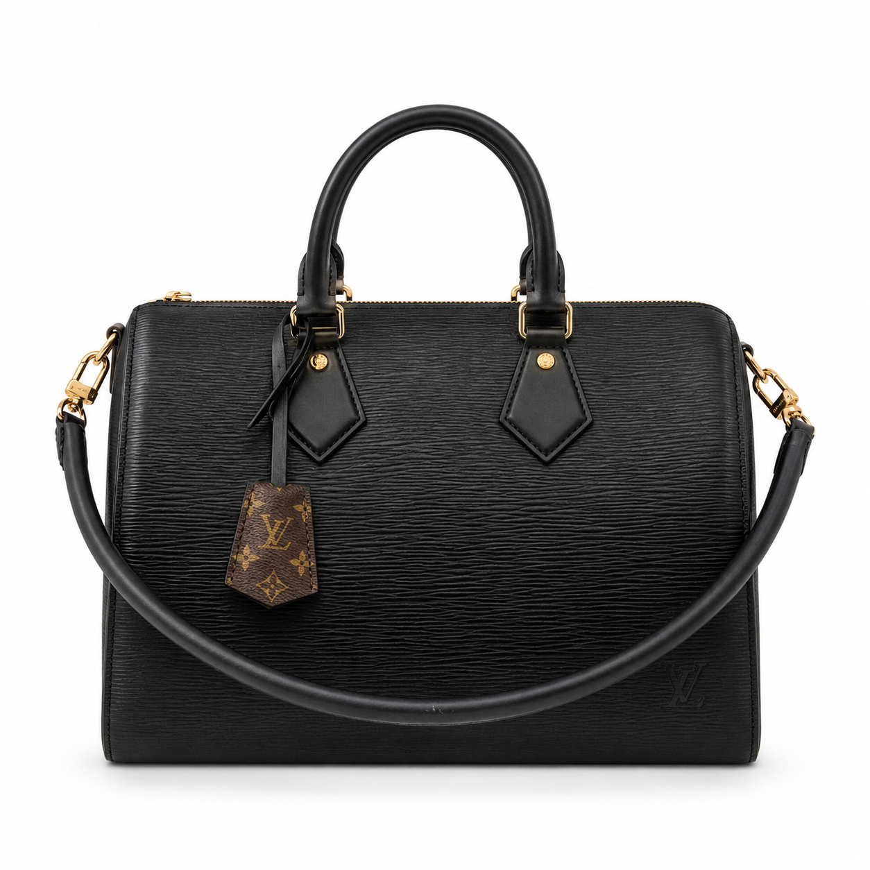 Louis Vuitton Monogram Structured Day Bag