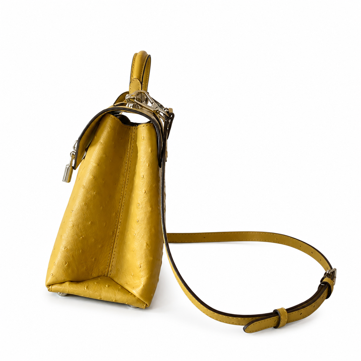 Louis Vuitton Monogram Prestige Flap Crossbody