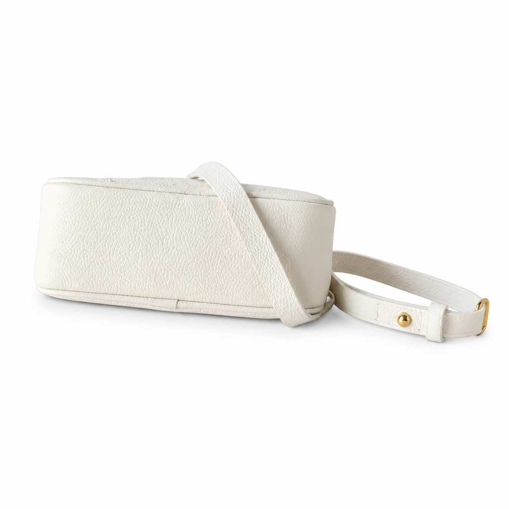 Louis Vuitton Monogram Mini Flap Crossbody