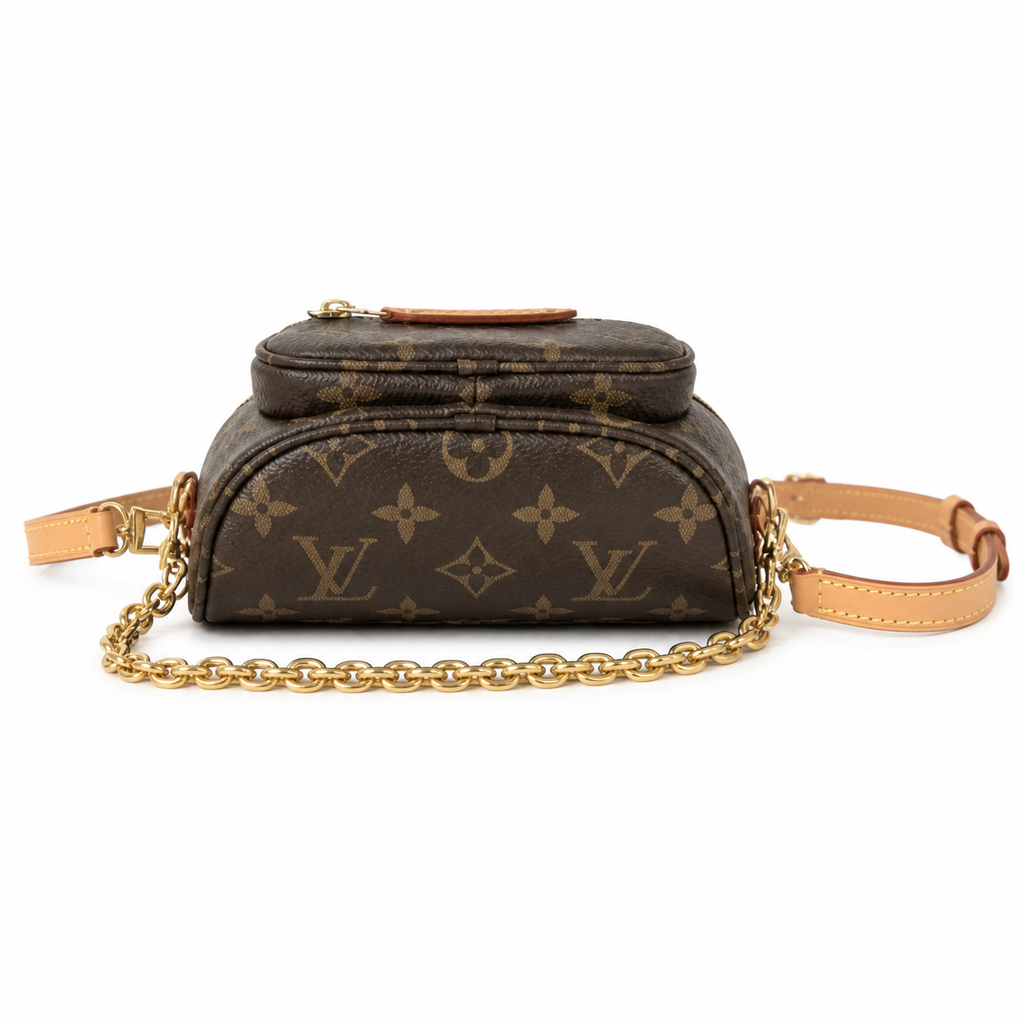 Louis Vuitton Félicie Pochette — Monogram Canvas & Vachetta