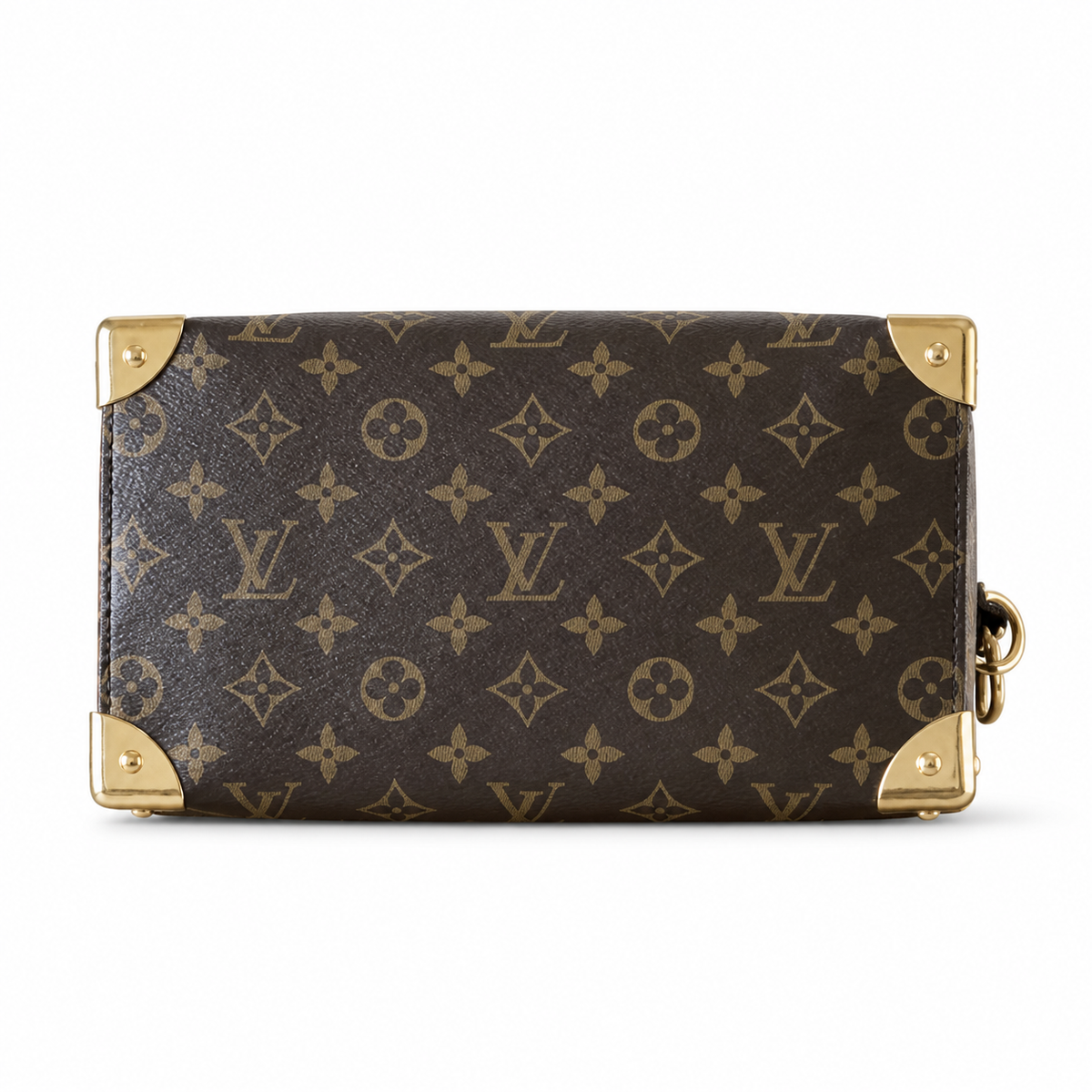 Louis Vuitton Monogram Classic Day Bag
