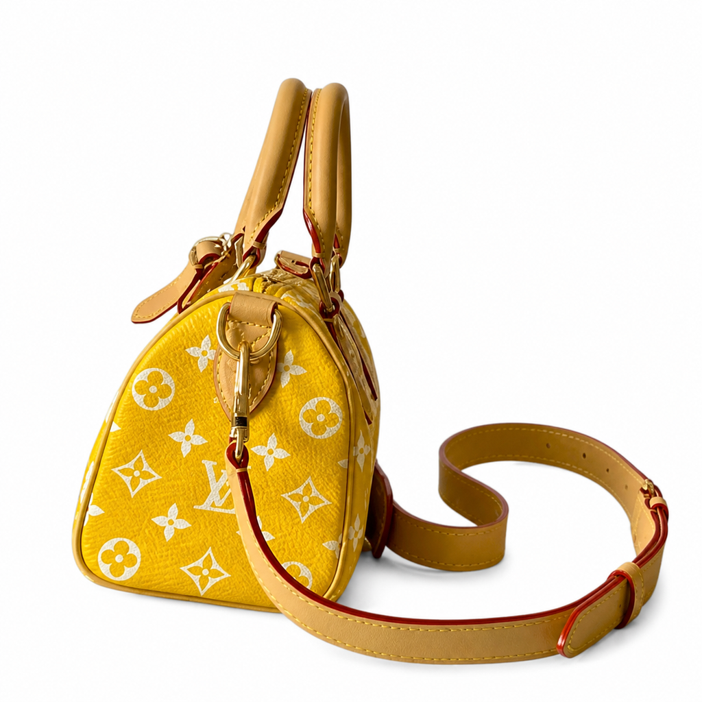Louis Vuitton Monogram Noir Structured Bucket Crossbody Bag