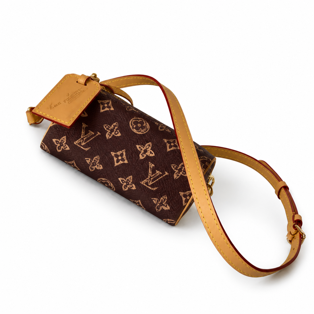 Louis Vuitton Monogram Mini Zip Crossbody Pouch